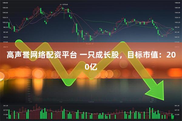 高声誉网络配资平台 一只成长股，目标市值：200亿