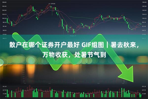 散户在哪个证券开户最好 GIF组图｜暑去秋来，万物收获，处暑节气到