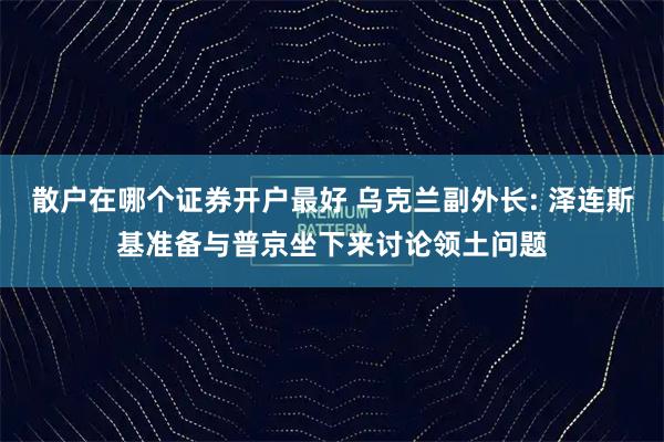 散户在哪个证券开户最好 乌克兰副外长: 泽连斯基准备与普京坐下来讨论领土问题