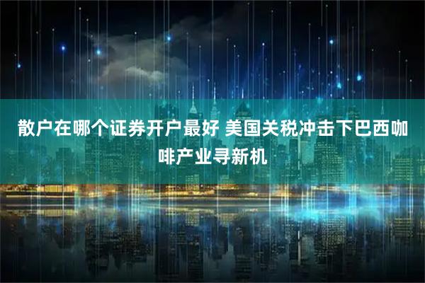 散户在哪个证券开户最好 美国关税冲击下巴西咖啡产业寻新机