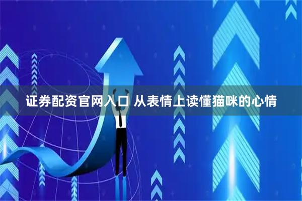 证券配资官网入口 从表情上读懂猫咪的心情