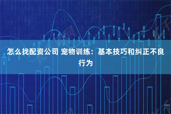 怎么找配资公司 宠物训练：基本技巧和纠正不良行为